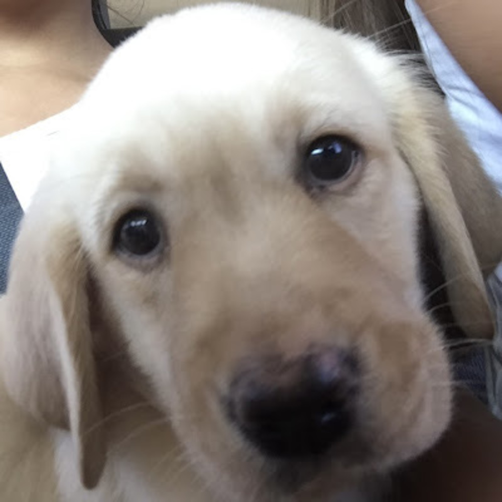 Meet your Posher, Madison